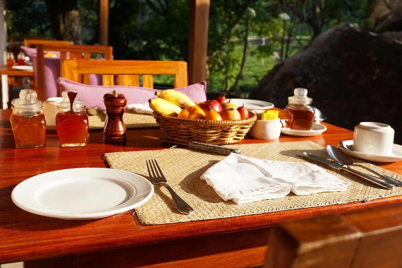 Resort Windermere Estate Munnar