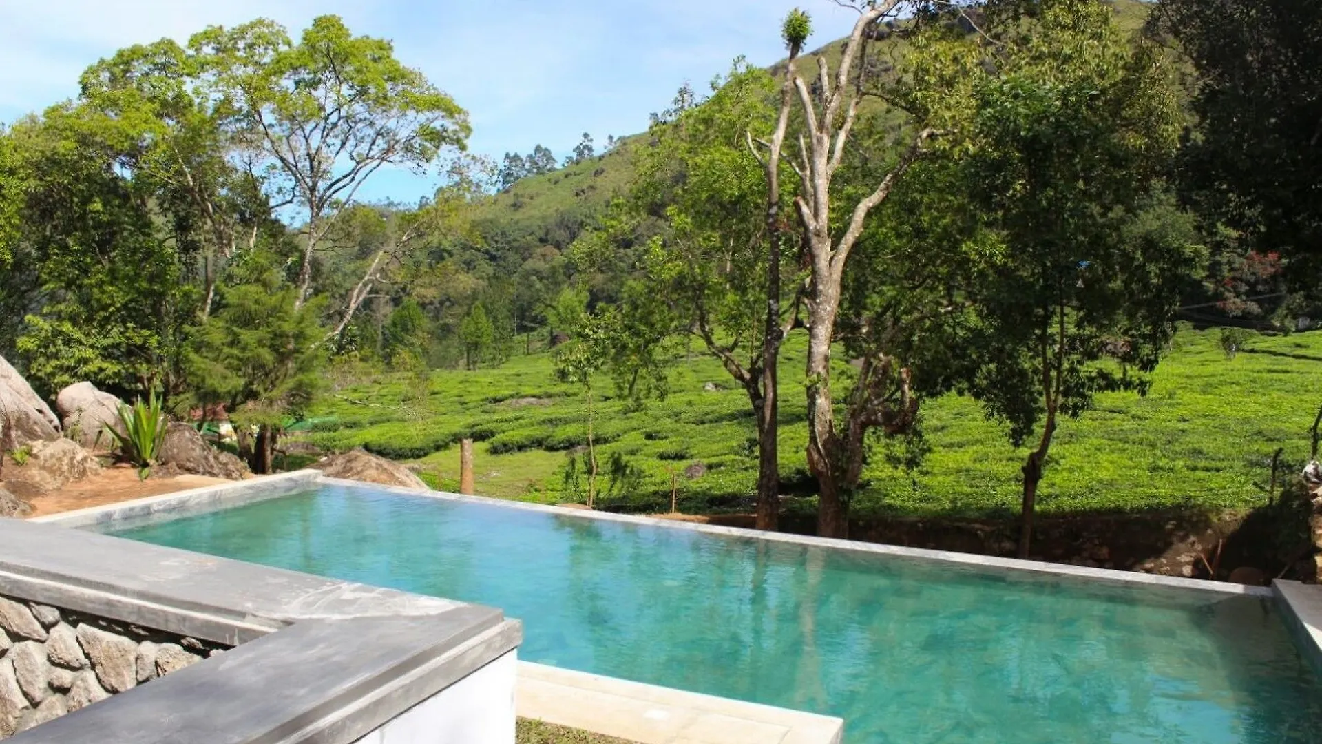 Windermere Estate Munnar India