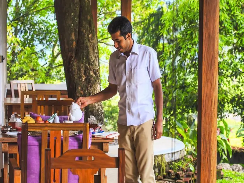 Resort Windermere Estate Munnar