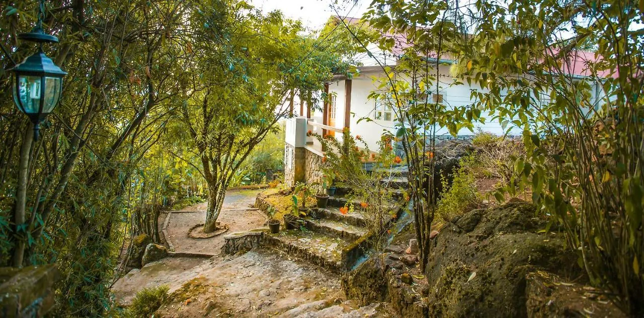 Resort Windermere Estate Munnar